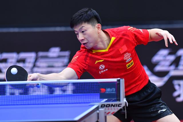 结论性的观 结论性的观