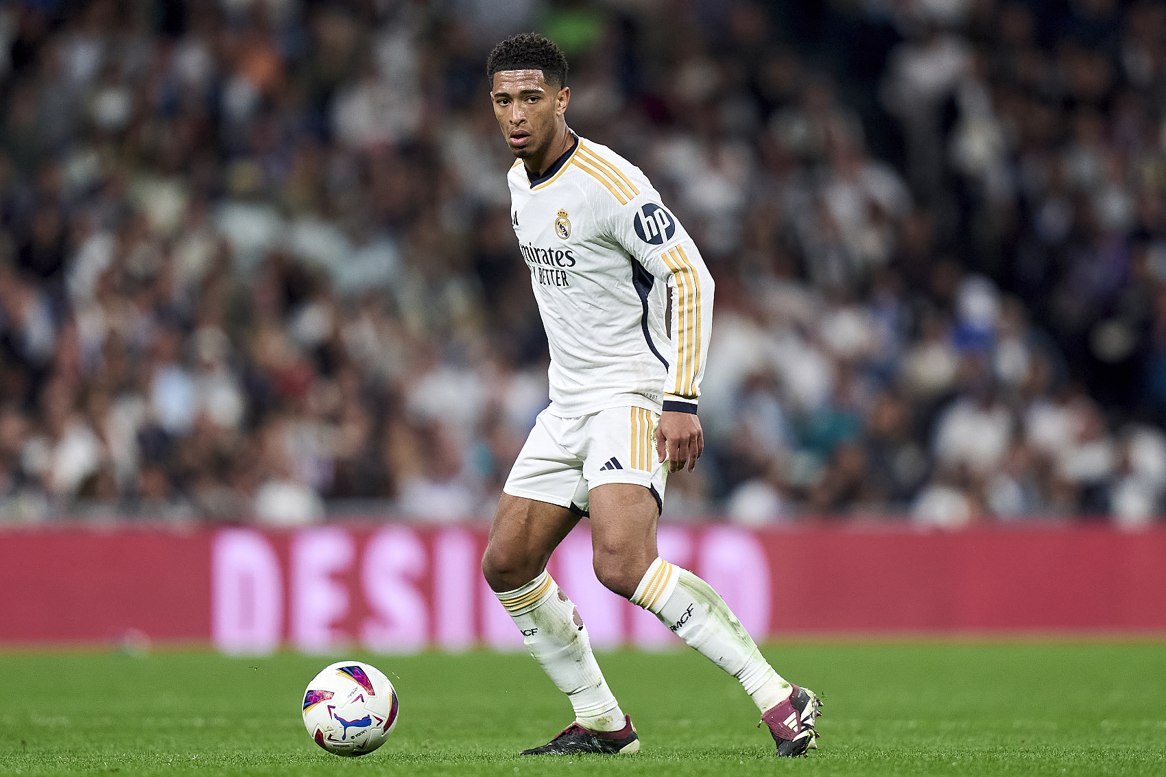 表了沙特联 表了沙特联