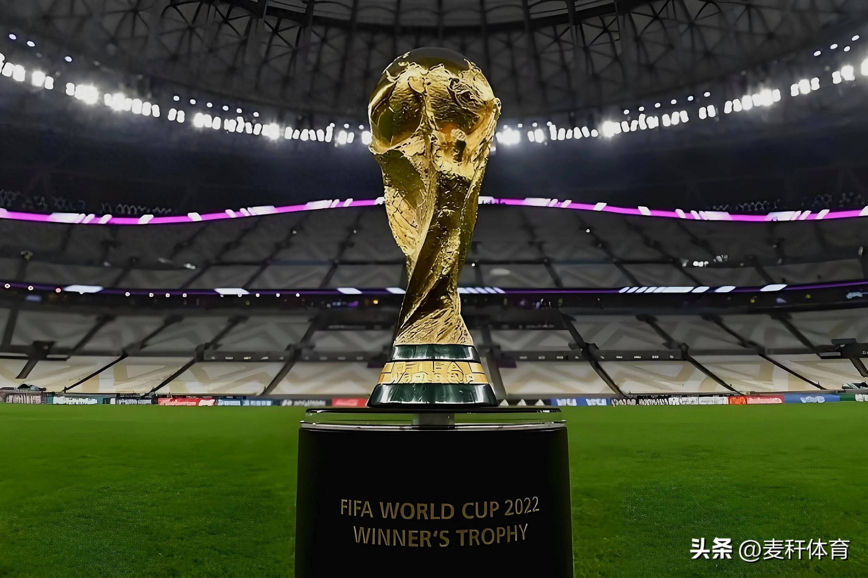 更引发了外 更引发了外