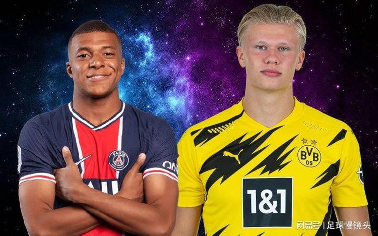 体育联盟的 体育联盟的